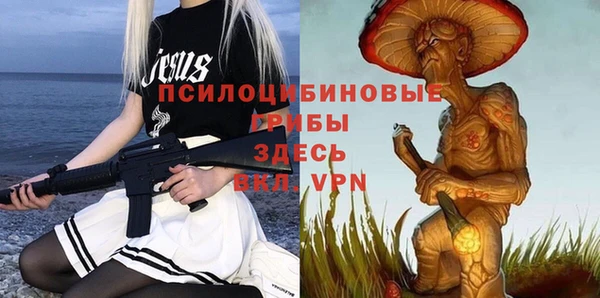 спиды Абдулино