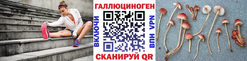 кракен ссылки  Холм  Галлюциногенные грибы мухоморы  где найти  